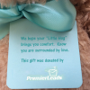 little hugs teddy bear donation tag